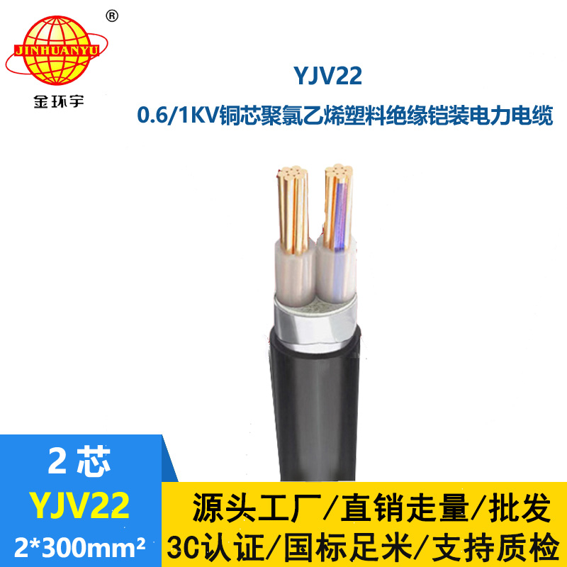 金环宇电线电缆 二芯电力电缆 YJV22 2X300平方 铜芯 地埋铠装电缆