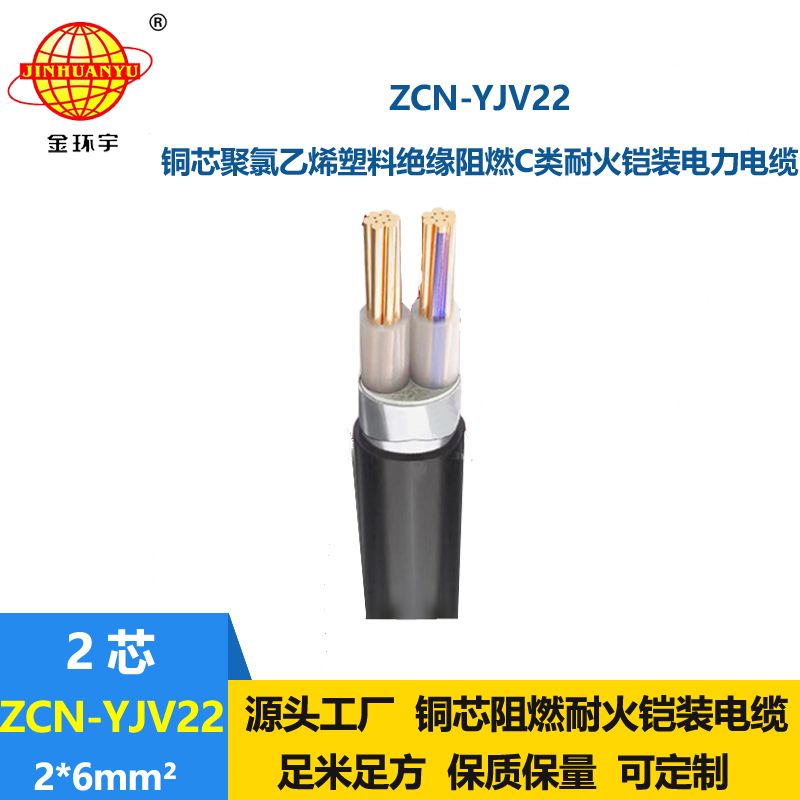 金环宇电线电缆 阻燃耐火电缆ZCN-YJV22-2X6平方yjv22钢带铠装电缆
