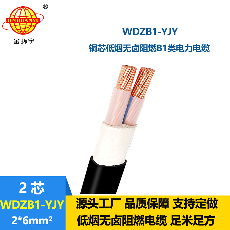 金环宇电线电缆 阻燃B1类电缆 WDZB1-YJY 2X6平方 低烟无卤电力电缆