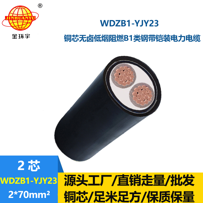 金环宇 b级阻燃电缆WDZB1-YJY23-2X70低烟无卤铜芯电力电缆