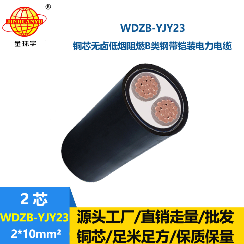 金环宇电缆 铠装电缆WDZB-YJY23-2X10平方 阻燃电缆 低烟无卤电缆